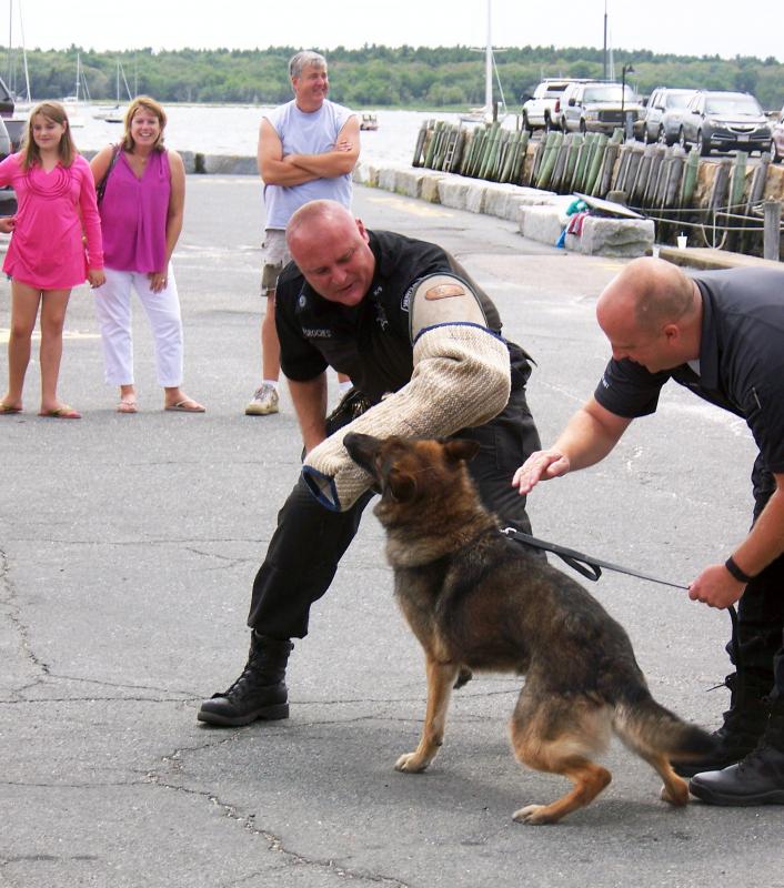 Deputy Dennis Desroches demonstrates how police dogs are trained for the Plymouth County Sheriff's K9 unit. BY MATTHEW BERNAT